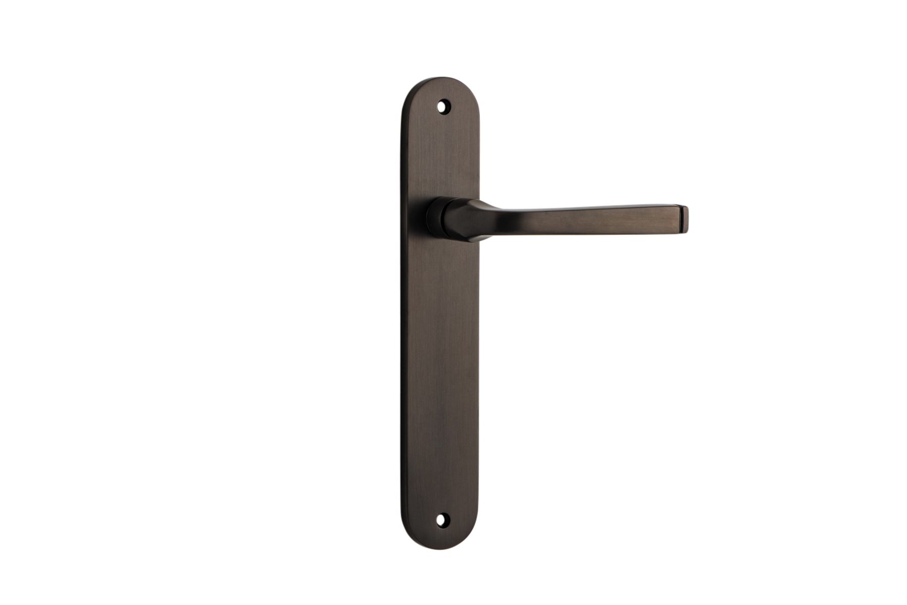 10732 - Annecy Lever - Oval Backplate - Signature Brass - Passage