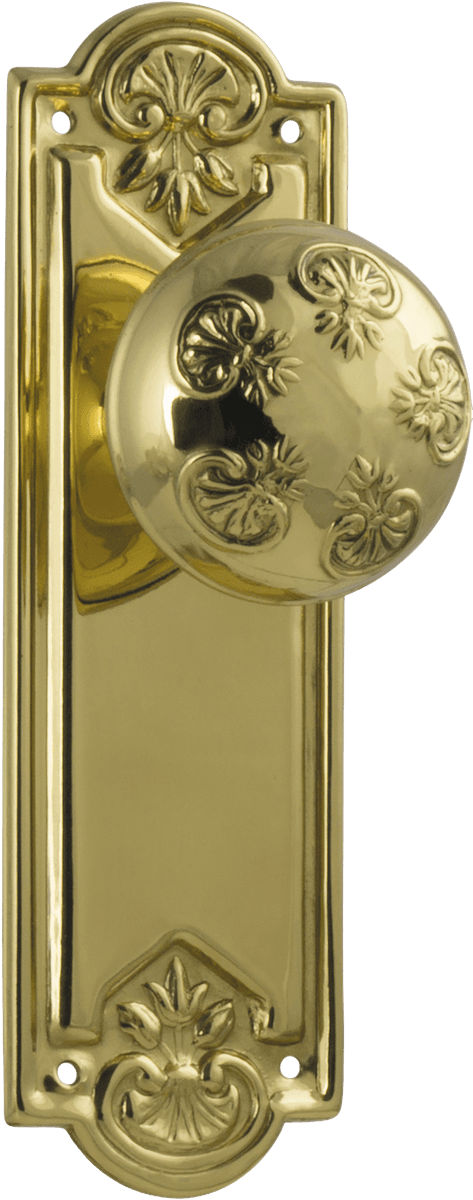 Nouveau Door Knob - Long Backplate