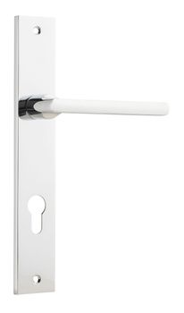 Baltimore Lever - Rectangular Backplate
