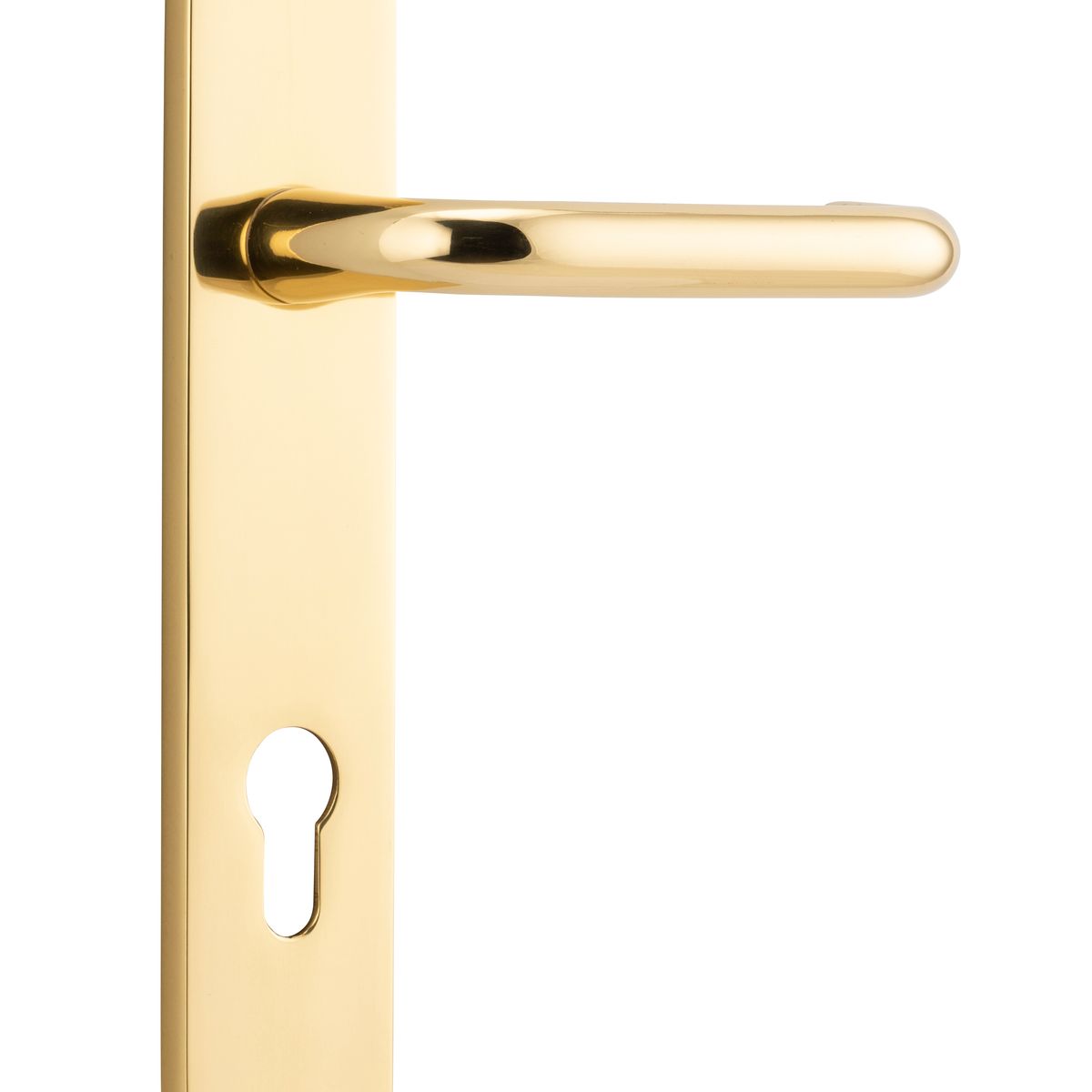 10346E85 - Oslo Lever - Oval Backplate - Polished Brass - Entrance