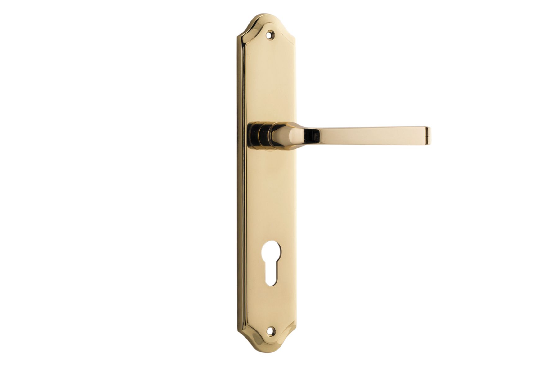 10220E85 - Annecy Lever - Shouldered Backplate - Polished Brass - Entrance