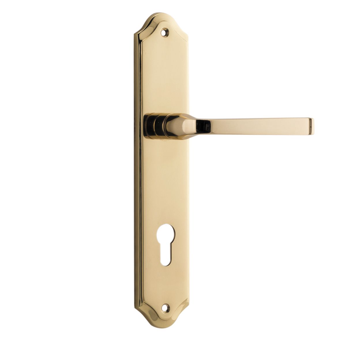 10220E85 - Annecy Lever - Shouldered Backplate - Polished Brass - Entrance