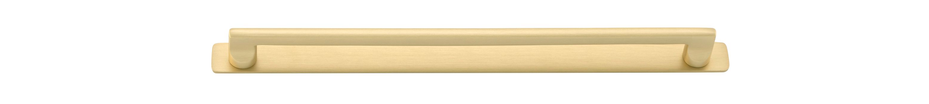 Baltimore Cabinet Pull with Backplate - CTC320mm