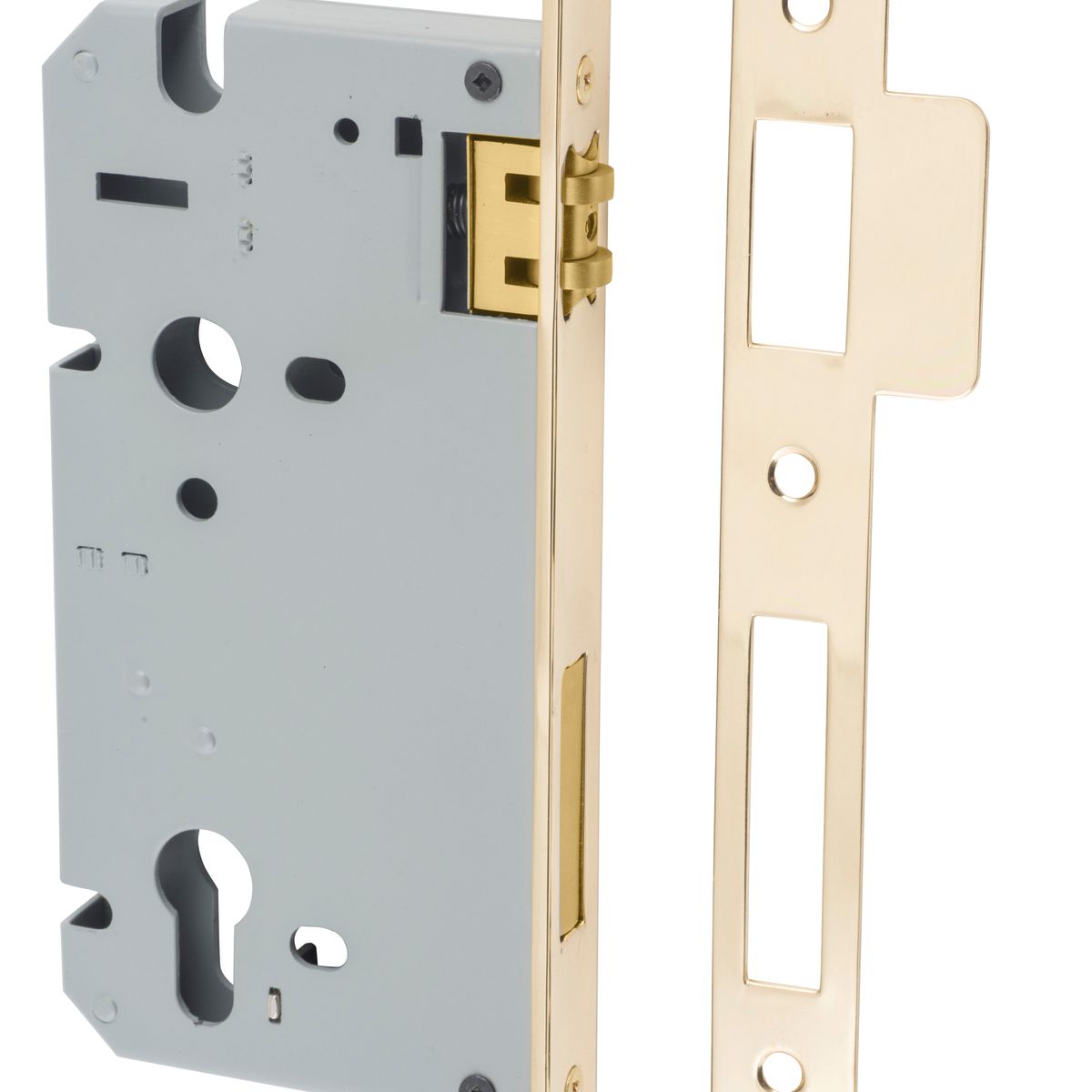 6031 - 85mm Euro Roller Mortice Lock - 60mm Backset - Polished Brass