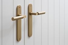 15266 - Berlin Lever - Oval Backplate - Brushed Brass - Passage