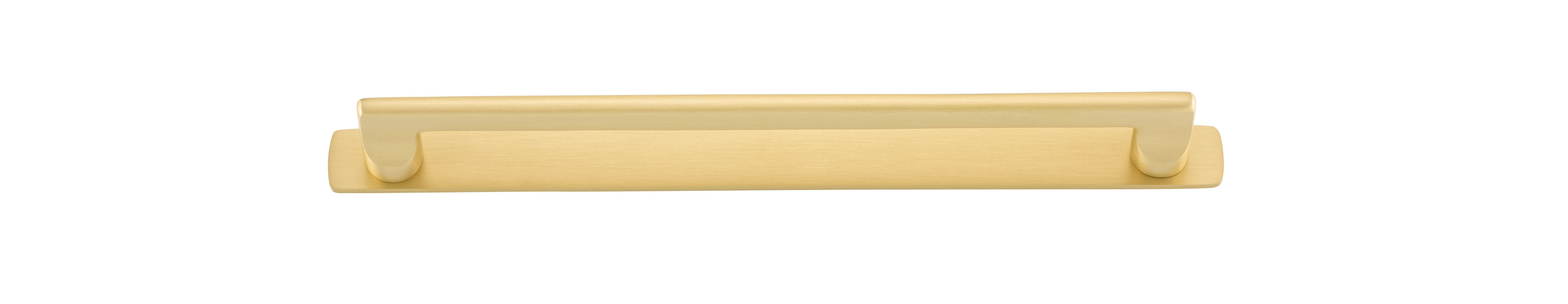 17202B - Baltimore Cabinet Pull with Backplate - CTC256mm - Brushed Gold PVD
