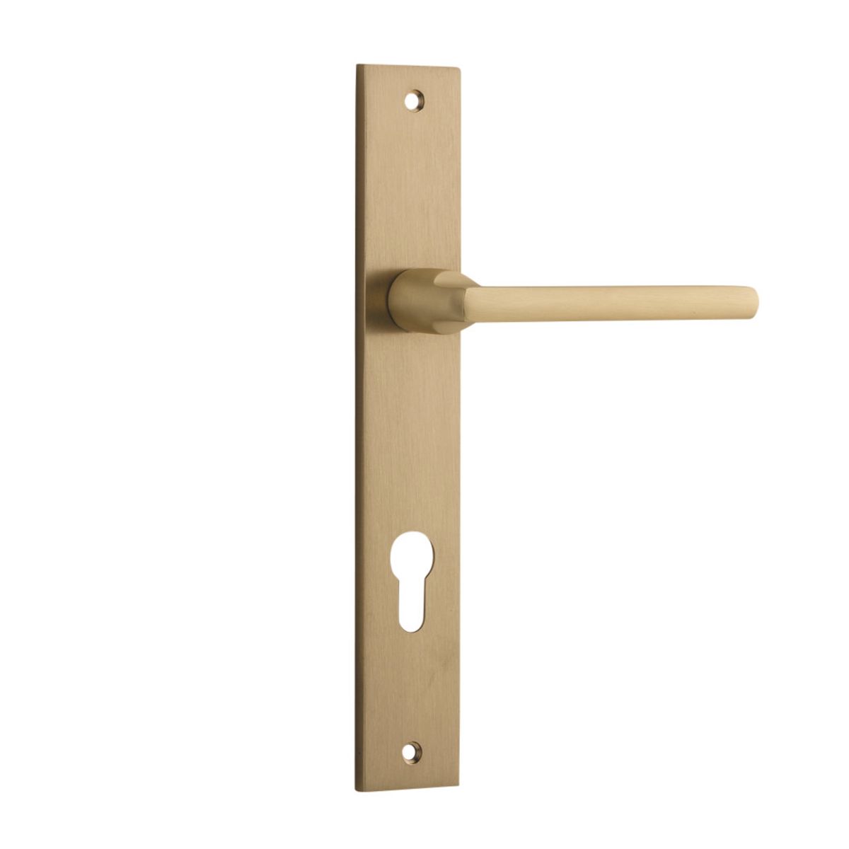 15702E85 - Baltimore Lever - Rectangular Backplate - Brushed Brass - Entrance