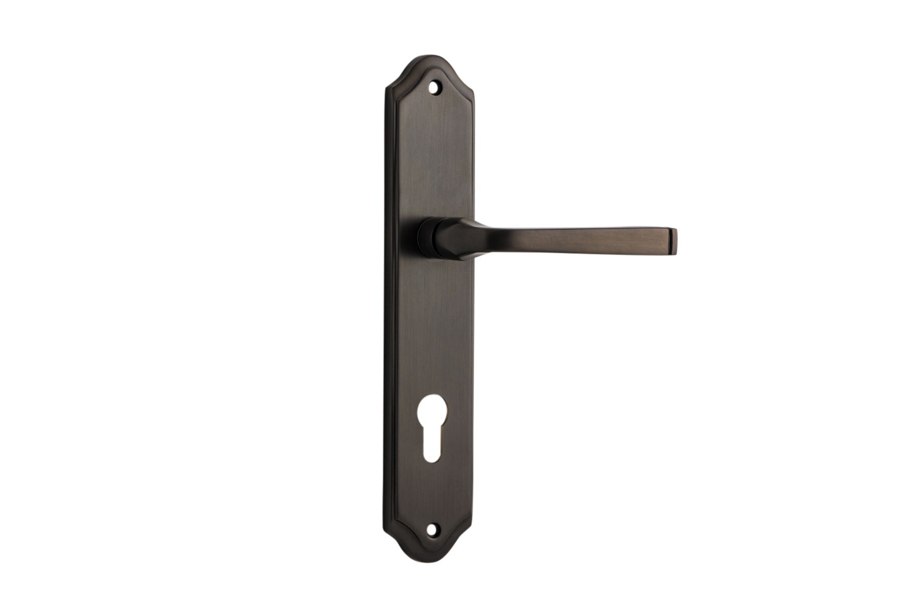 10720E85 - Annecy Lever - Shouldered Backplate - Signature Brass - Entrance