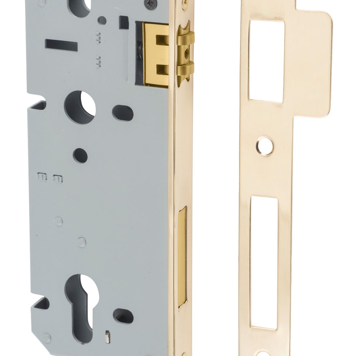 6030 - 85mm Euro Roller Mortice Lock - 45mm Backset - Polished Brass