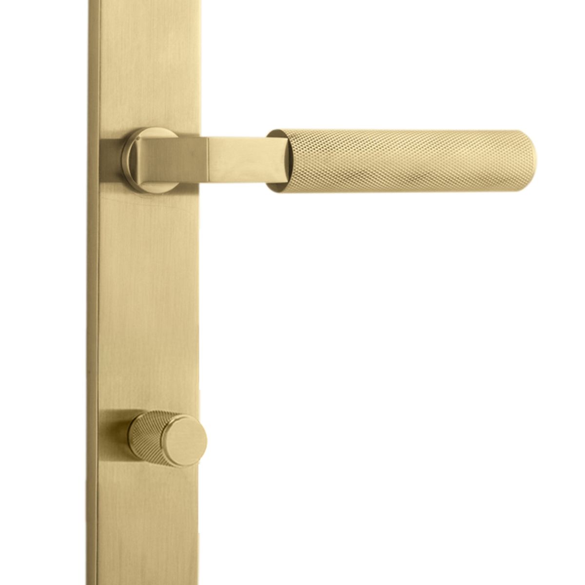 16252P85 - Brunswick Lever - Rectangular Backplate - Brushed Gold PVD - Privacy