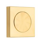 20290 - Blank Rose - Square - Polished Brass