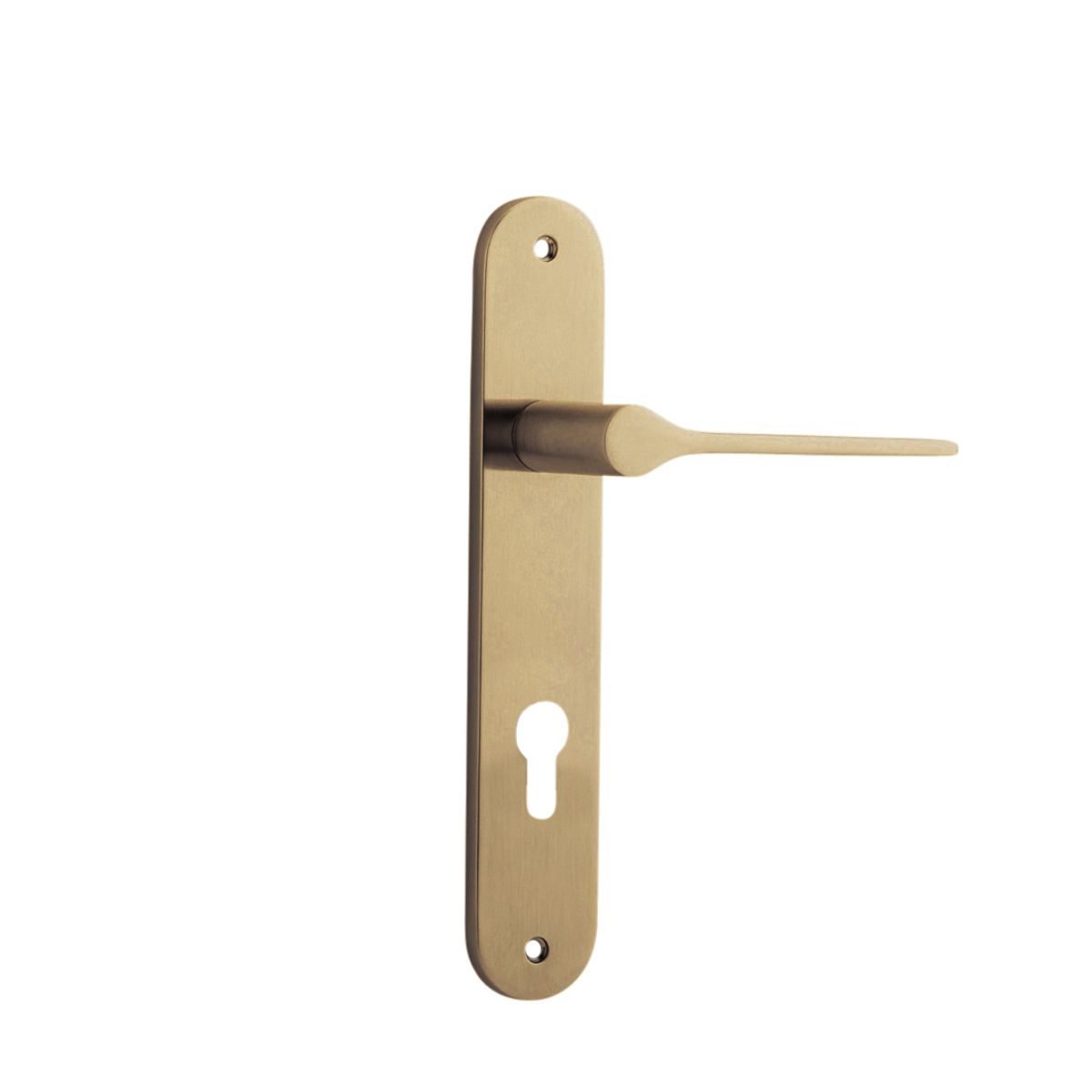 15270E85 - Como Lever - Oval Backplate - Brushed Brass - Entrance