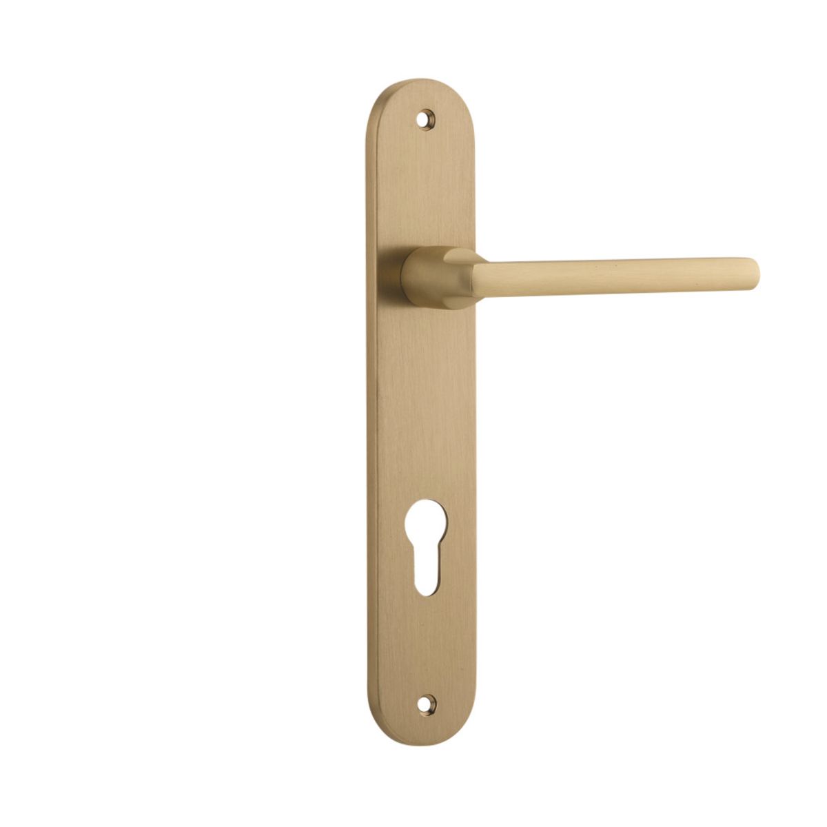 15226E85 - Baltimore Lever - Oval Backplate - Brushed Brass - Entrance