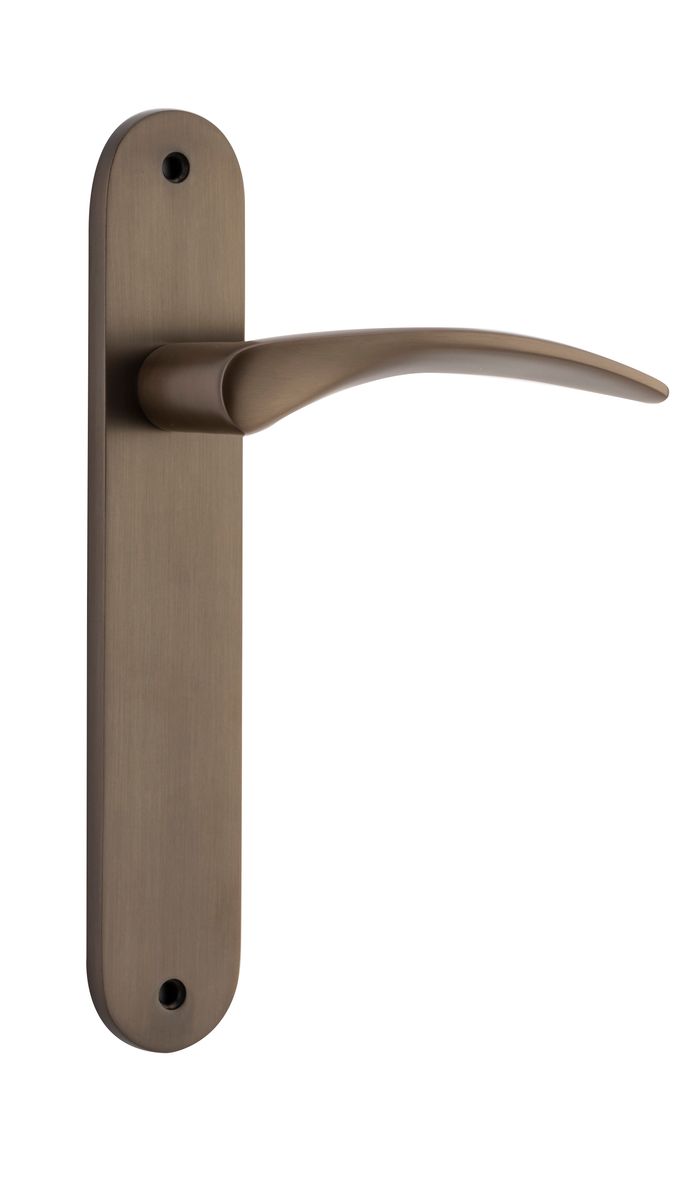 10728 - Oxford Lever - Oval Backplate - Signature Brass - Passage