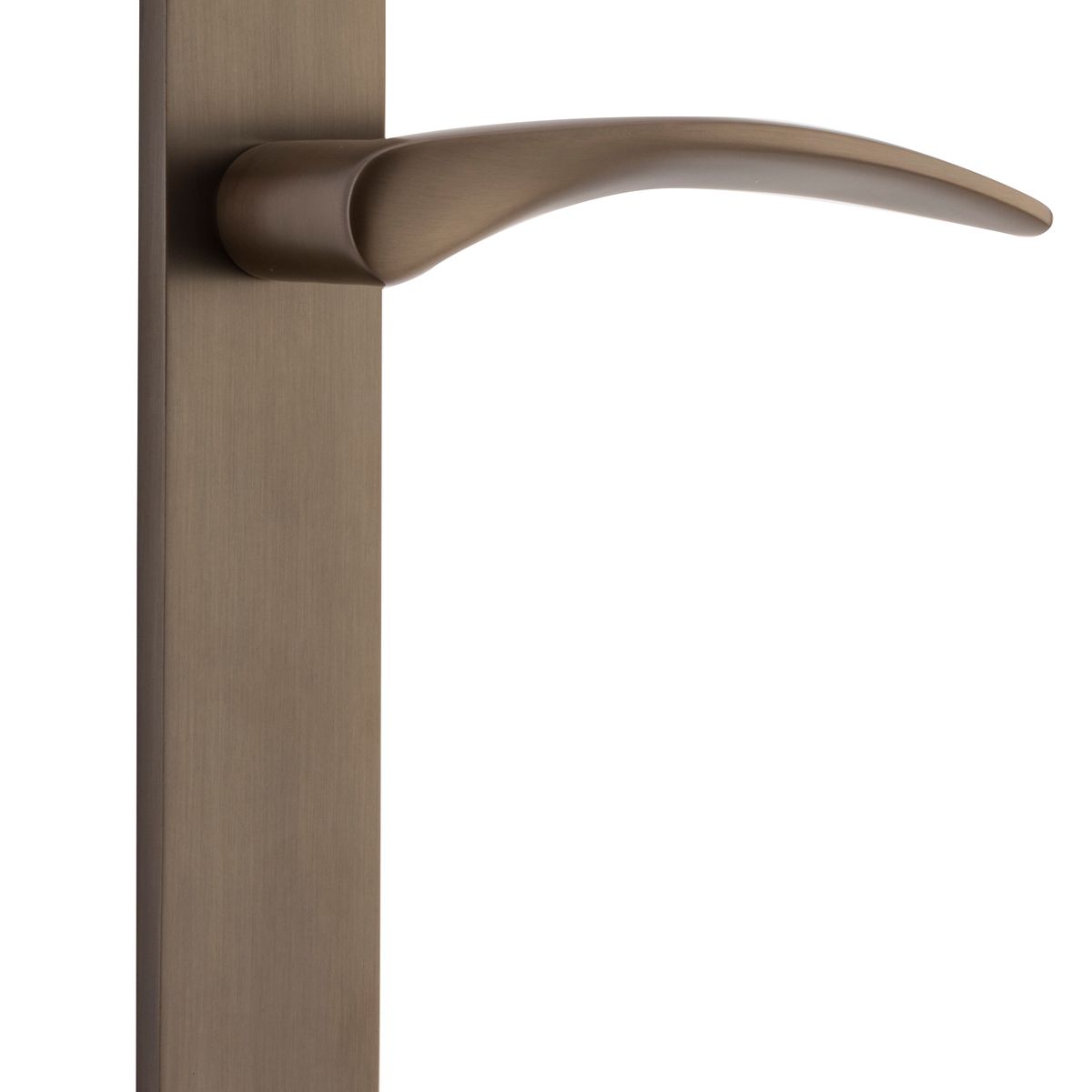 10728 - Oxford Lever - Oval Backplate - Signature Brass - Passage