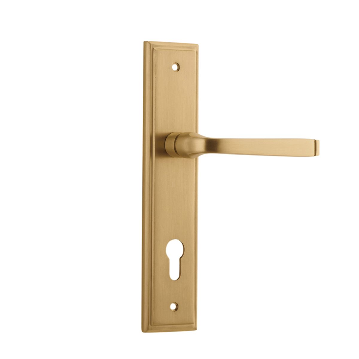 15244E85 - Annecy Lever - Stepped Backplate - Brushed Brass - Entrance