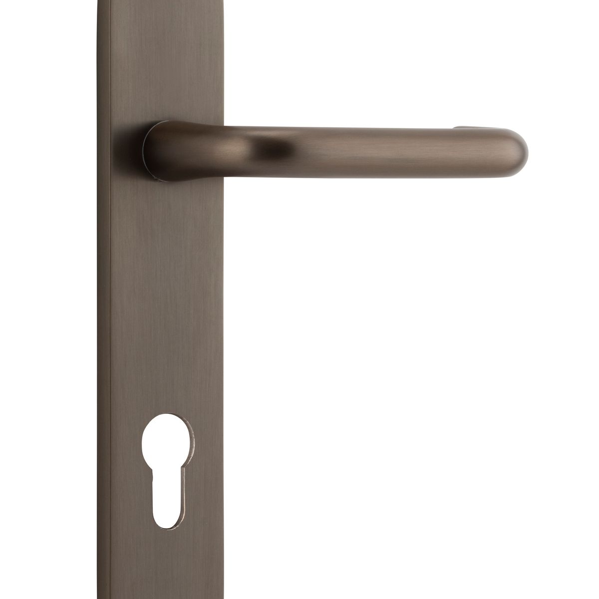 10846E85 - Oslo Lever - Oval Backplate - Signature Brass - Entrance