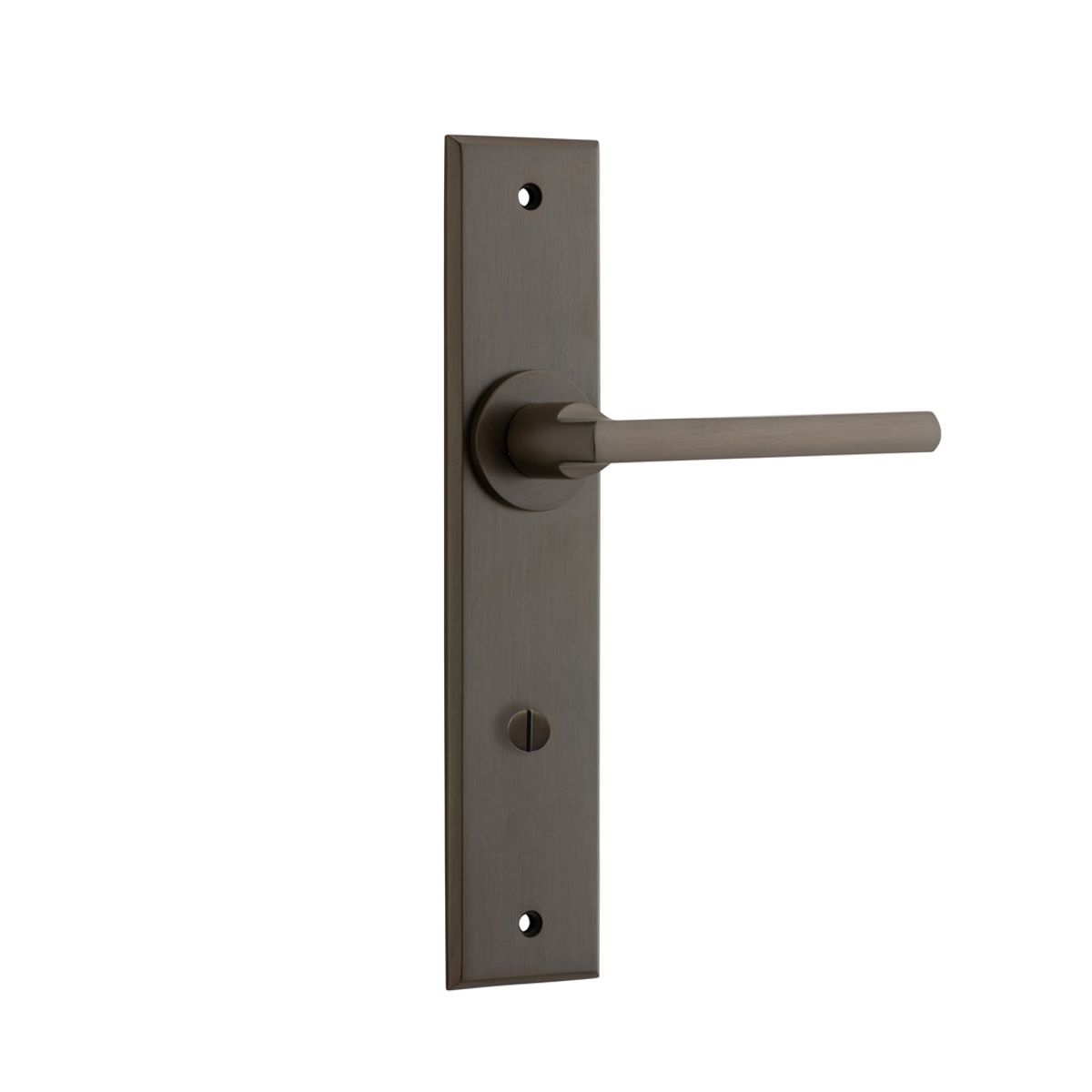10782 - Baltimore Lever - Chamfered Backplate - Signature Brass - Passage