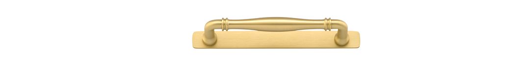 17105B - Sarlat Cabinet Pull with Backplate - CTC160mm - Brushed Gold PVD