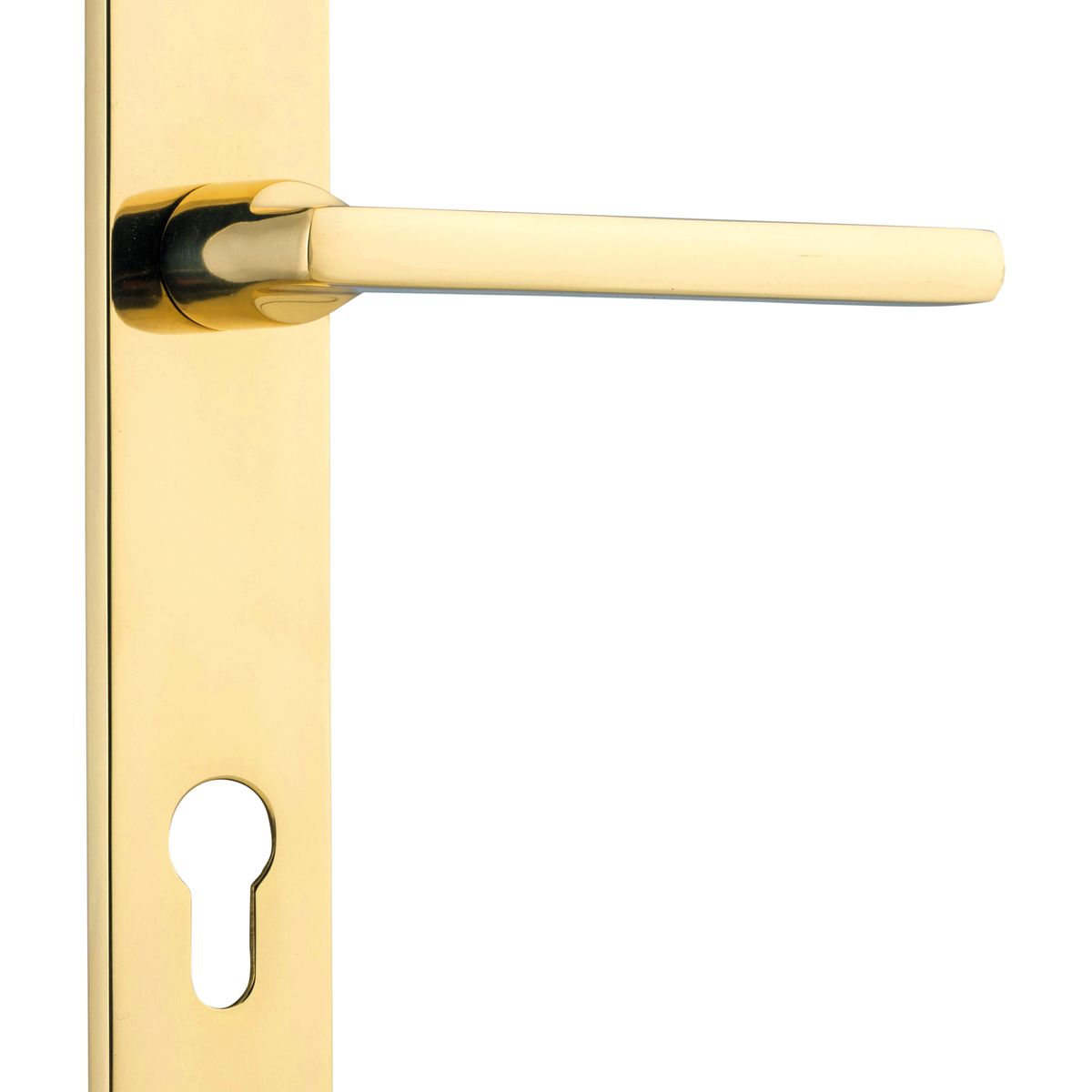10202E85 - Baltimore Lever - Rectangular Backplate - Polished Brass - Entrance