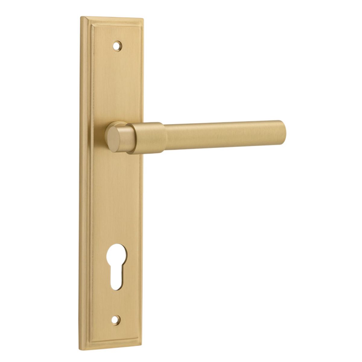 16402E85 - Helsinki Lever - Stepped Backplate - Brushed Gold PVD - Entrance