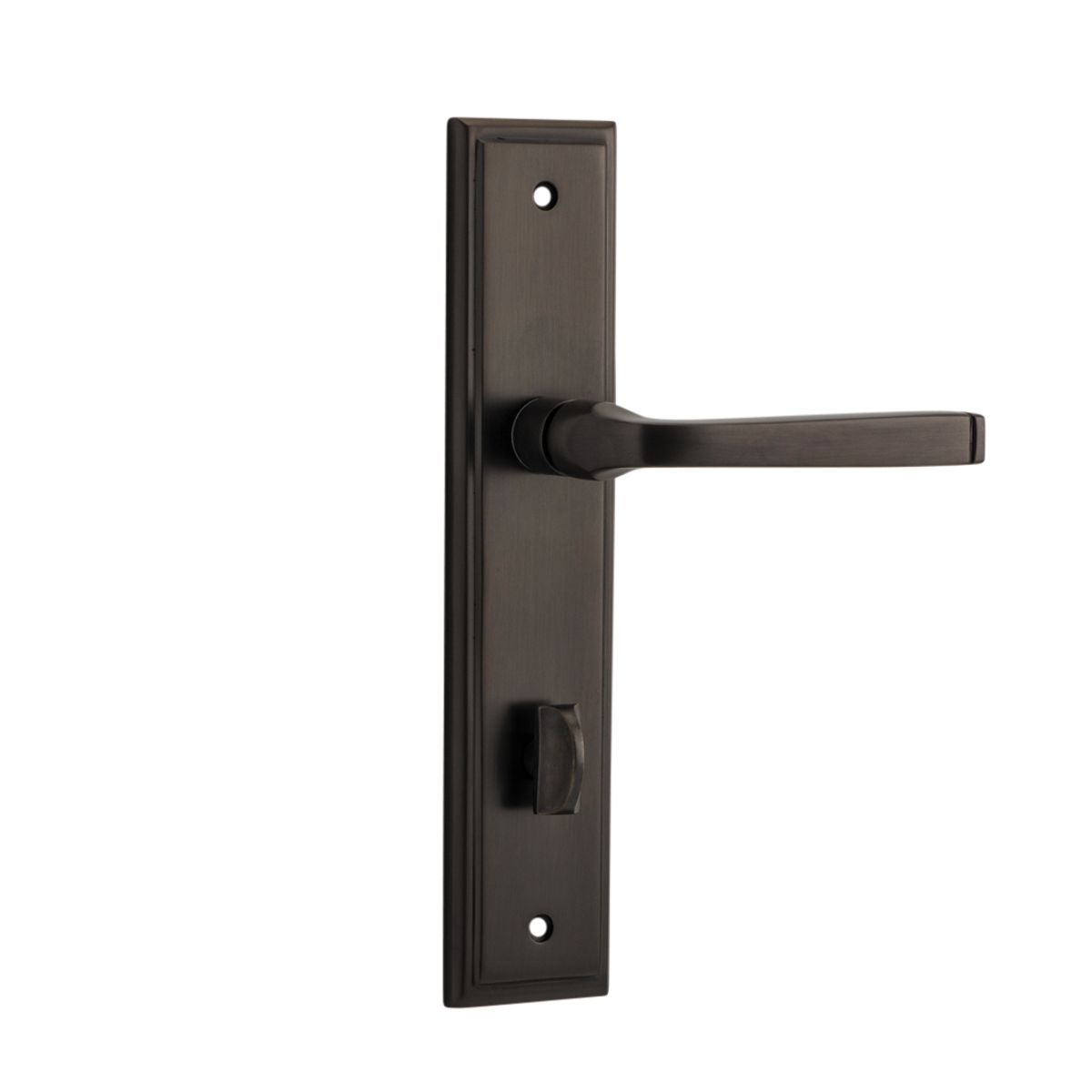 10744P85 - Annecy Lever - Stepped Backplate - Signature Brass - Privacy