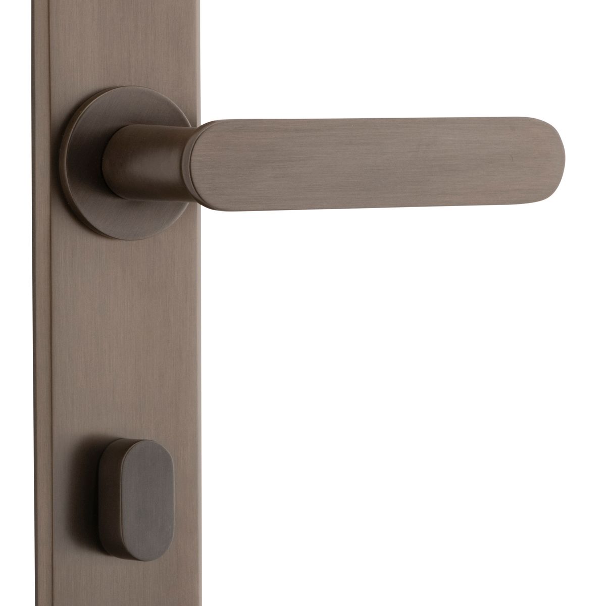 10784P85 - Bronte Lever - Chamfered Backplate - Signature Brass - Privacy