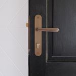 10876E85 - Copenhagen Lever - Oval Backplate - Signature Brass - Entrance
