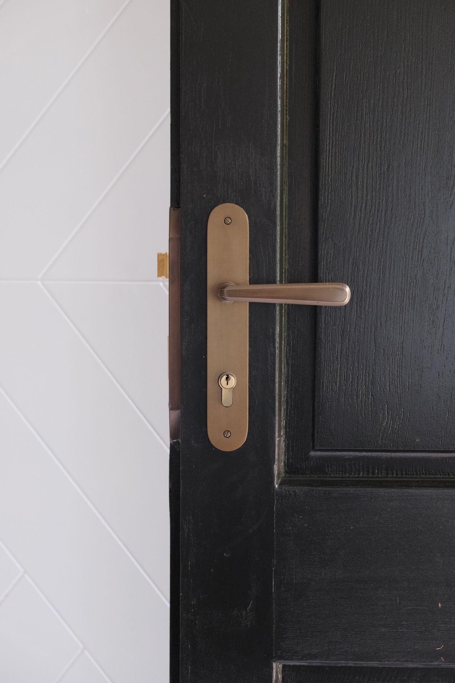 15376 - Copenhagen Lever - Oval Backplate - Brushed Brass - Passage