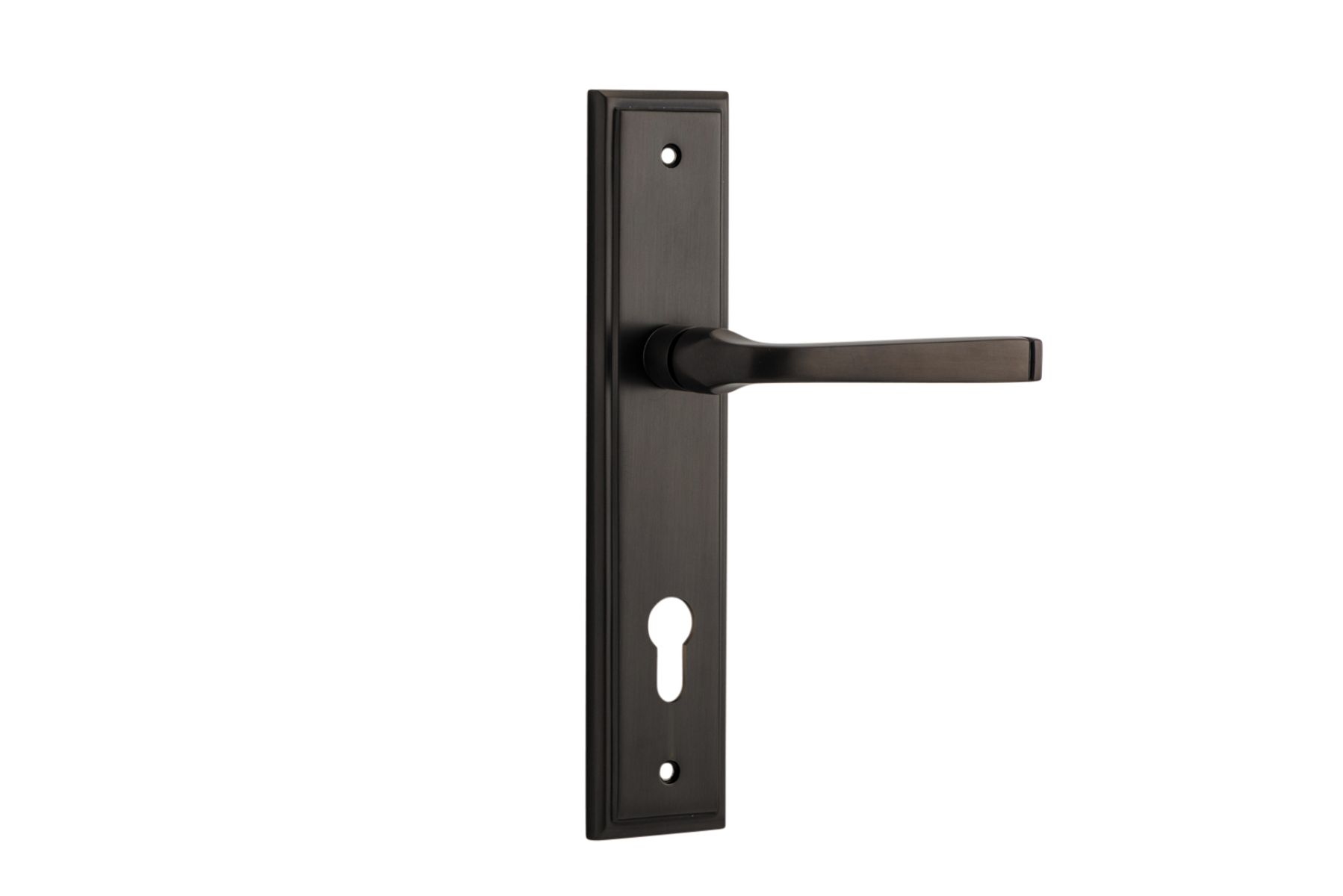 10744E85 - Annecy Lever - Stepped Backplate - Signature Brass - Entrance