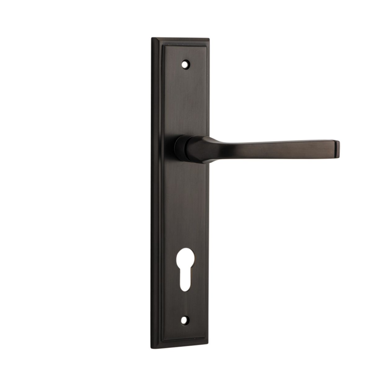 10744E85 - Annecy Lever - Stepped Backplate - Signature Brass - Entrance