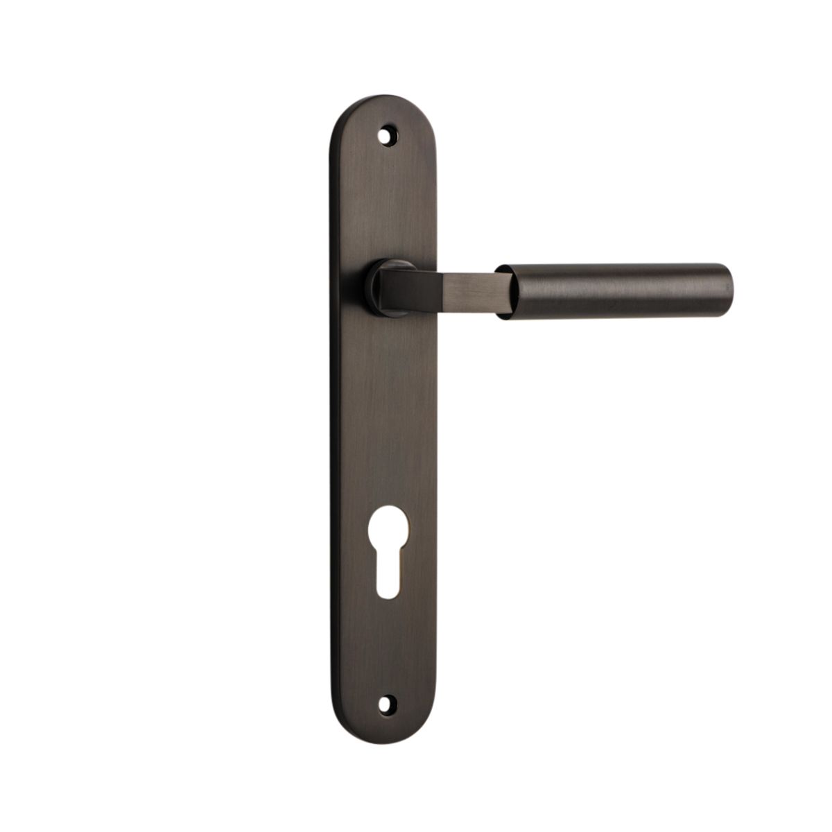 10766E85 - Berlin Lever - Oval Backplate - Signature Brass - Entrance
