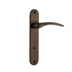 10728P85 - Oxford Lever - Oval Backplate - Signature Brass - Privacy