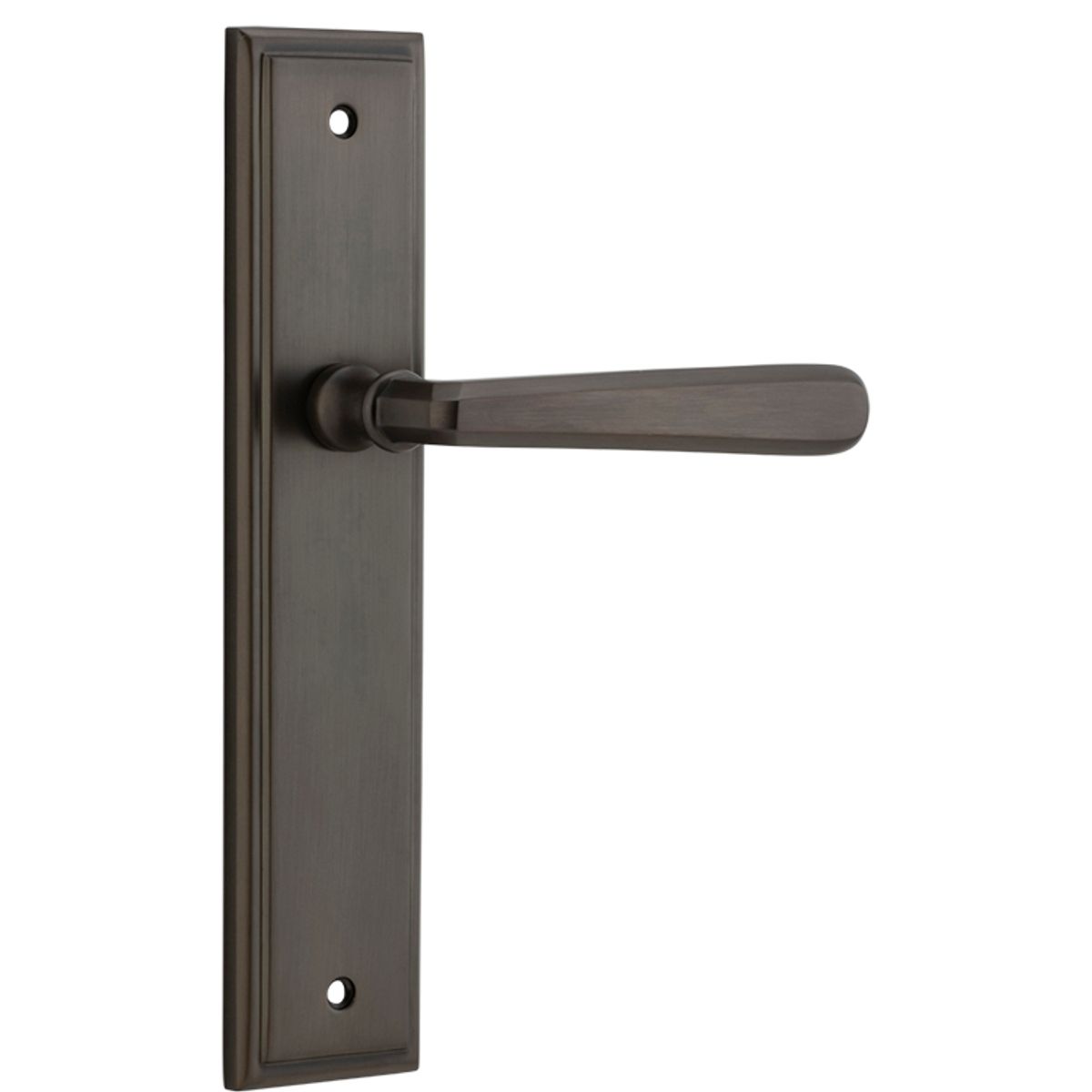 10878 - Copenhagen Lever - Stepped Backplate - Signature Brass - Passage