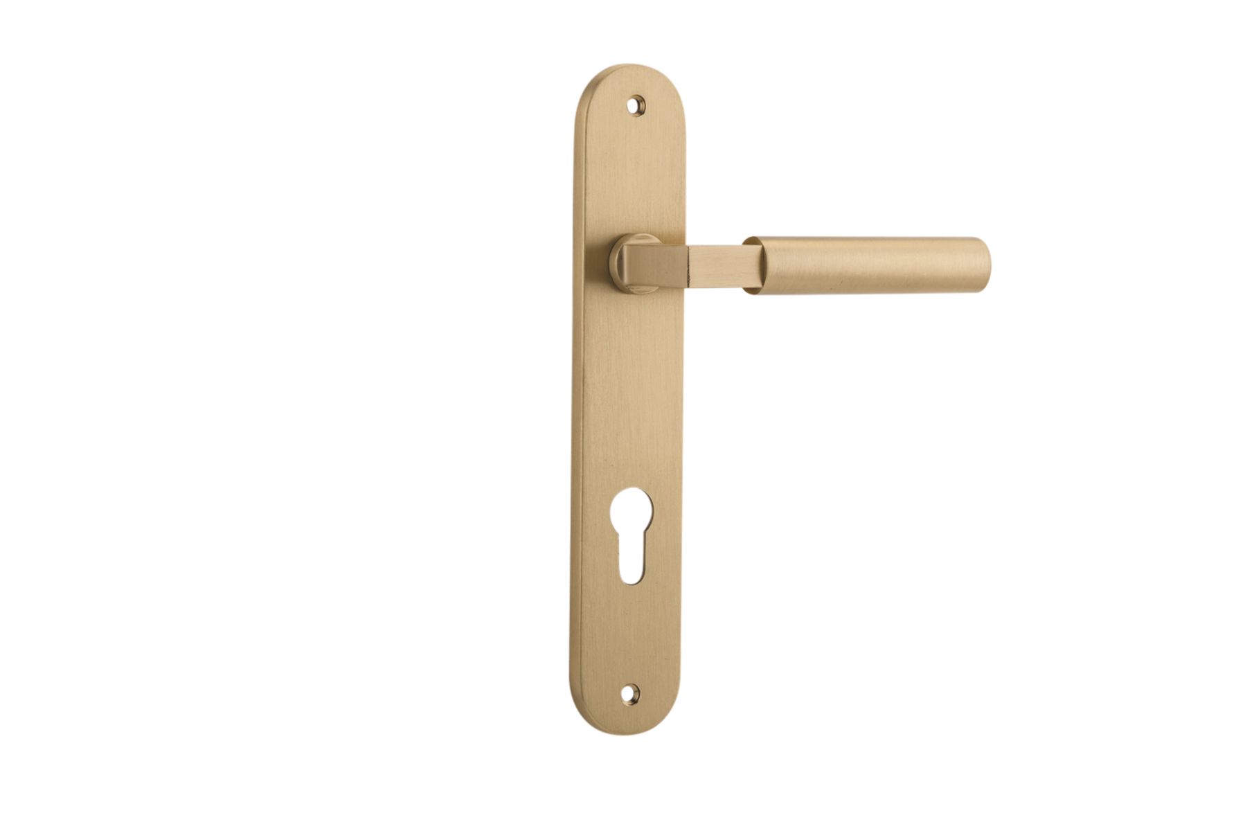 15266E85 - Berlin Lever - Oval Backplate - Brushed Brass - Entrance