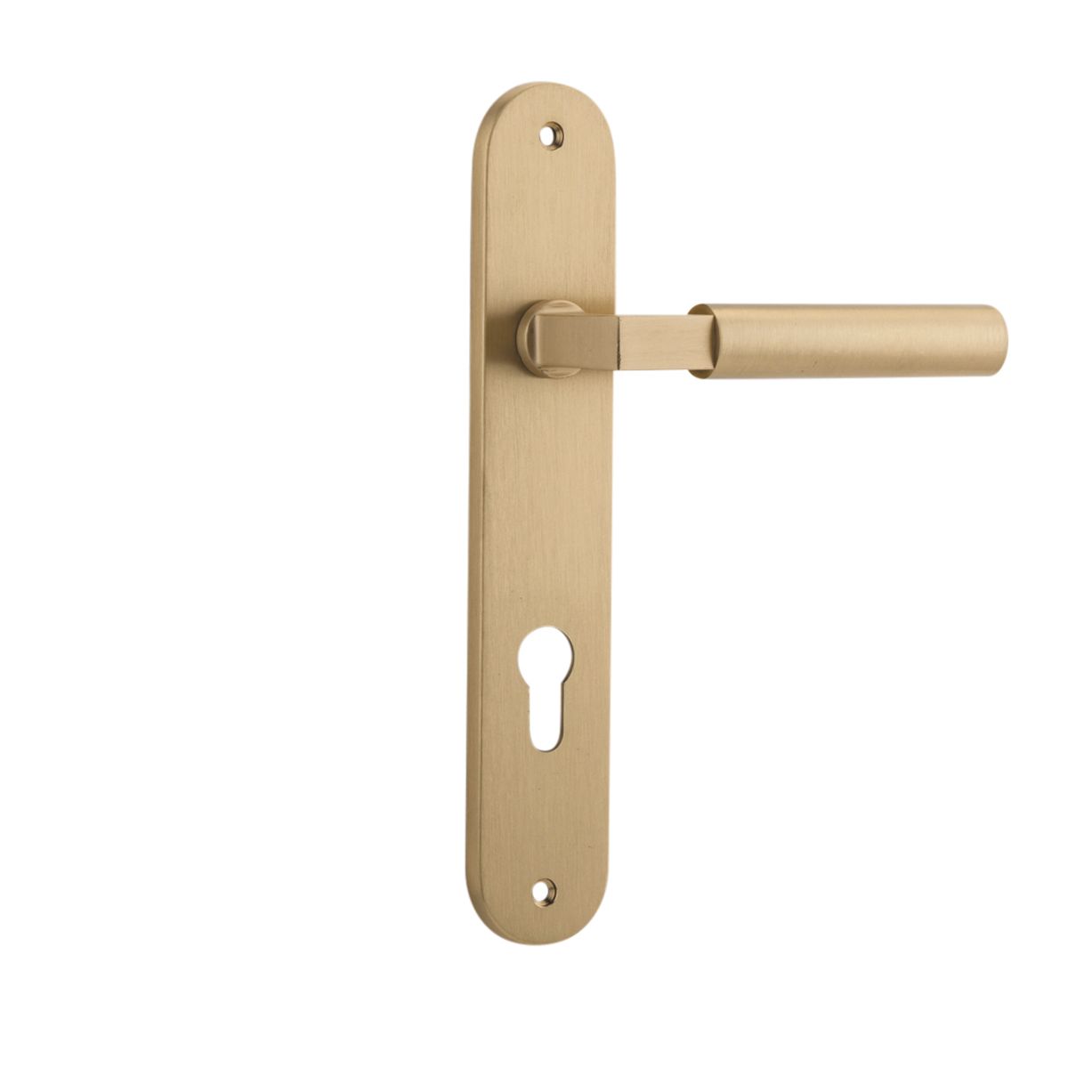 15266E85 - Berlin Lever - Oval Backplate - Brushed Brass - Entrance