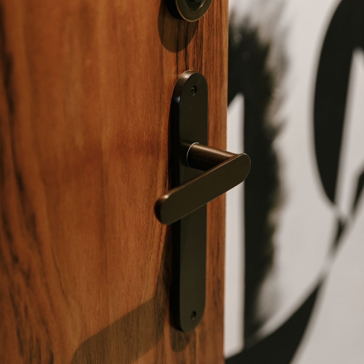 10764 - Bronte Lever - Oval Backplate - Signature Brass - Passage