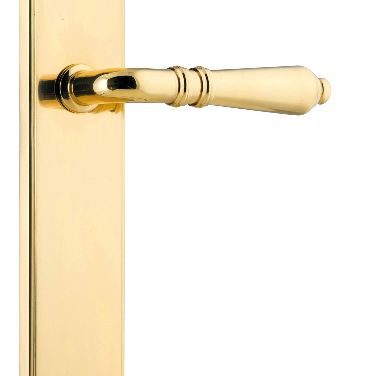 10212 - Sarlat Lever - Shouldered Backplate - Polished Brass - Passage