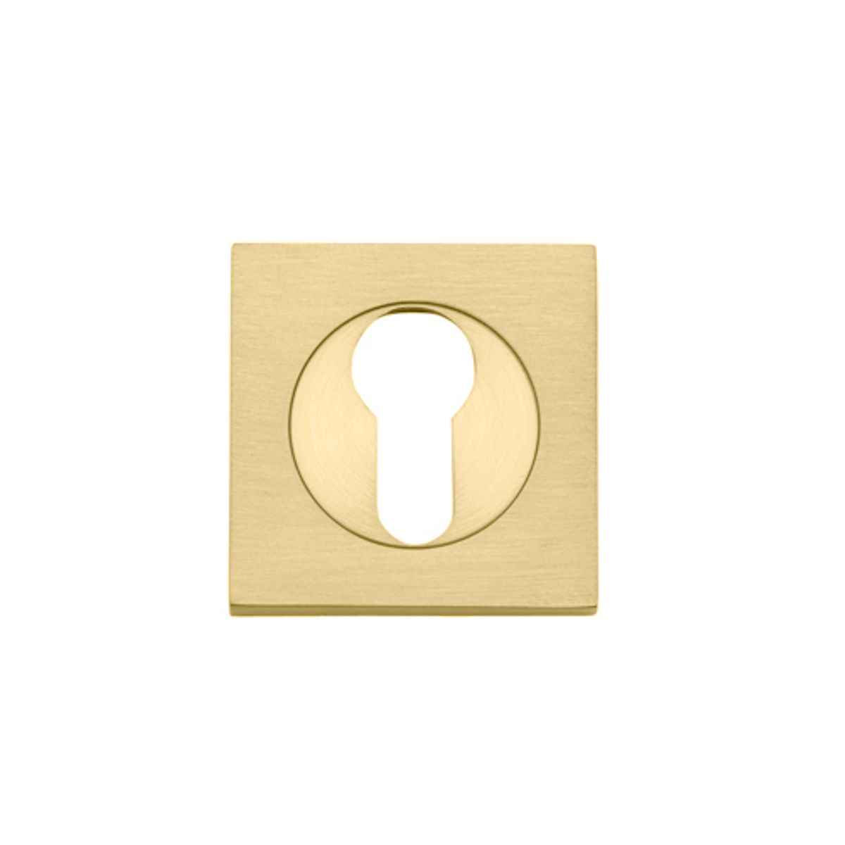 17130 - Euro Escutcheons - Square - Brushed Gold PVD