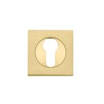 17130 - Euro Escutcheons - Square - Brushed Gold PVD