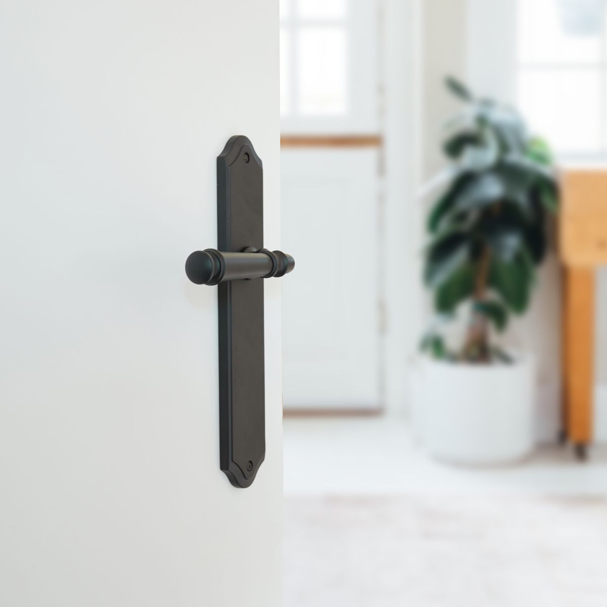 10718 - Verona Lever - Shouldered Backplate - Signature Brass - Passage