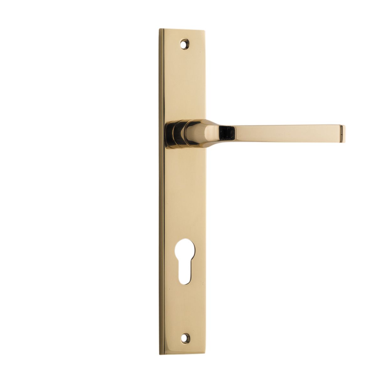 10208E85 - Annecy Lever - Rectangular Backplate - Polished Brass - Entrance