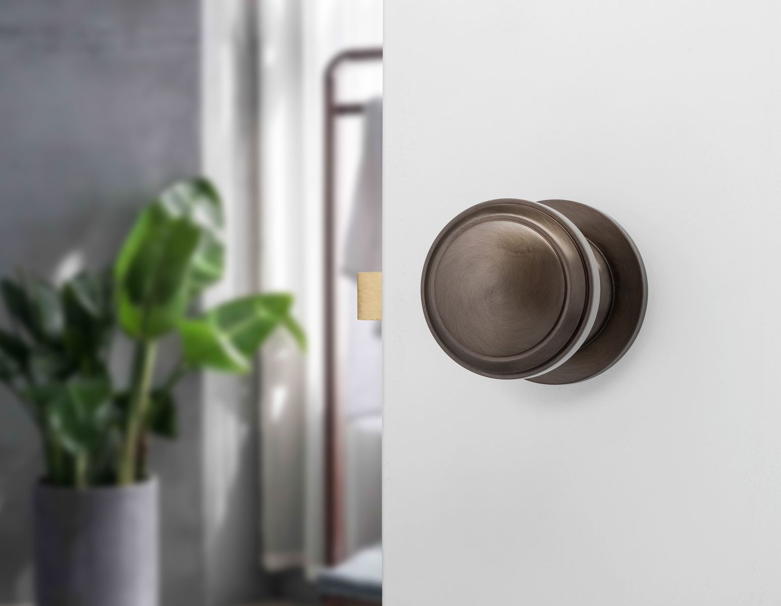 0211 - Paddington Knob - Round Rose - Signature Brass - Passage