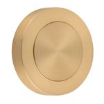 20286 - Blank Rose - Round - Brushed Brass