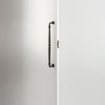 21857 - Roller Latch with Face Plate and Striker - Distressed Nickel