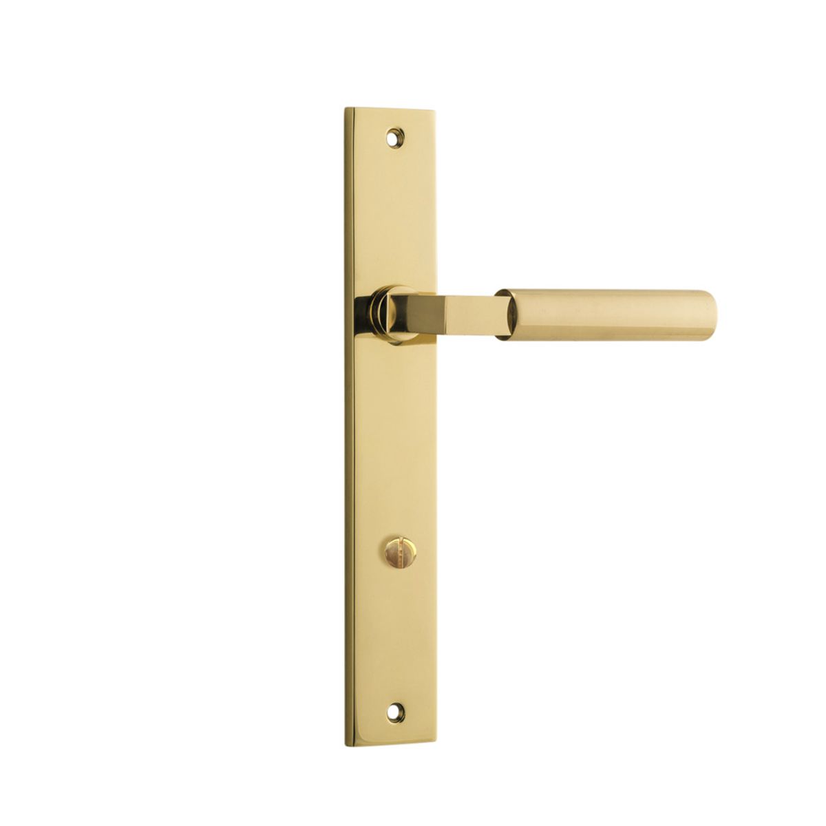 10250 - Berlin Lever - Rectangular Backplate - Polished Brass - Passage