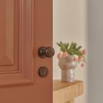 0211 - Paddington Knob - Round Rose - Signature Brass - Passage