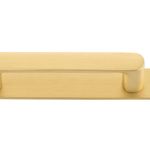 17430B - Osaka Cabinet Pull with Backplate - CTC96mm - Brushed Gold PVD