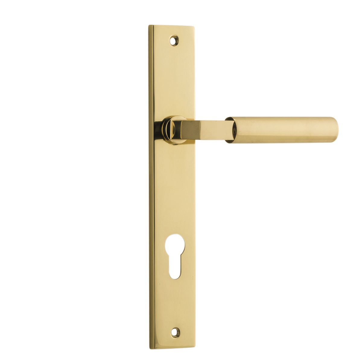 10250E85 - Berlin Lever - Rectangular Backplate - Polished Brass - Entrance