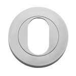 20065 - Oval Escutcheon -  Round - Brushed Chrome